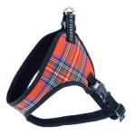 Champion Szelki taśma 40 komfort