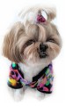 Ręcznie szyta bluza dresowa z kapturem MOZ 720 www.swiatshihtzu.pl 3.jpg