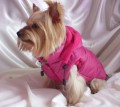 Ręcznie robiona kurtka sportowa www.swiatshihtzu.pl 16.JPG