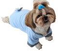 Ręcznie szyta bluza dresowa Błękitna www.swiatshihtzu.pl 1.jpg