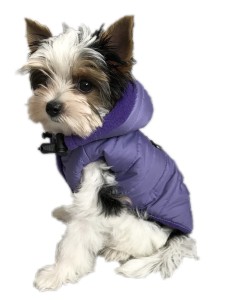 Ręcznie szyta kurtka sportowa fioletowa