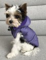 Ręcznie szyta zimowa kurtka sportowa fiolet www.swiatshihtzu.pl 0.jpg