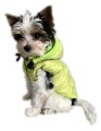 Ręcznie szyta zimowa kurtka sportowa neo zielona www.swiatshihtzu.pl 1.jpg