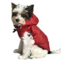 Ręcznie szyta kurtka sportowa czerwona www.swiatshihtzu.pl 1 (4).jpg