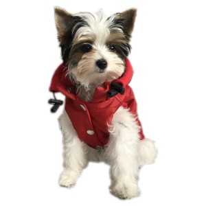 Ręcznie szyta kurtka sportowa czerwona