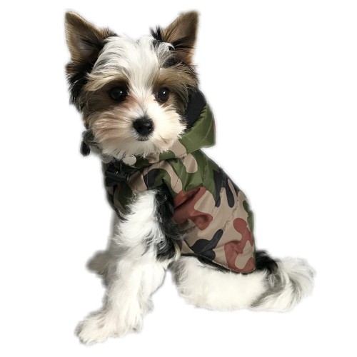 Ręcznie szyta kurtka sportowa moro www.swiatshihtzu.pl 1 (2).jpg