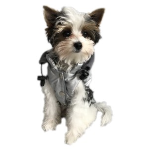 Ręcznie szyta kurtka sportowa srebrna