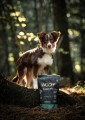 Woolf-Ultimate-Soft-Dog-www.shopfordog.pl-Puppy.jpg