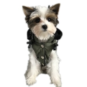 Ręcznie szyta kurtka sportowa khaki