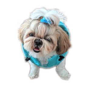 Ręcznie szyta kurtka sportowa turkusowa