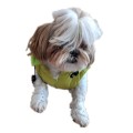 Recznie-szyta-kurtka-dla-psa-shihtzu-sportowa-neo-zielona-www.swiatshihtzu (3).jpg