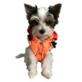 Rrcznie-szyta-kurtka-dla-psa-sportowa-neo-pomarańczowy-www.swiatshihtzu (2).jpg