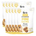 8595602578566-101-112374-Brit-Care-Dog-Mini-Snacks-Shine-Skora-i-Siersc-Łosos-50g-www.MERDAKI.pl-10PAK.jpg