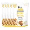 8595602578566-101-112374-Brit-Care-Dog-Mini-Snacks-Shine-Skora-i-Siersc-Łosos-50g-www.MERDAKI.pl-5PAK.jpg
