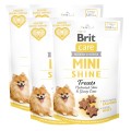 8595602578566-101-112374-Brit-Care-Dog-Mini-Snacks-Shine-Skora-i-Siersc-Łosos-50g-www.MERDAKI.pl-4PAK.jpg