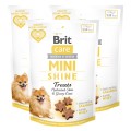 8595602578566-101-112374-Brit-Care-Dog-Mini-Snacks-Shine-Skora-i-Siersc-Łosos-50g-www.MERDAKI.pl-3PAK.jpg