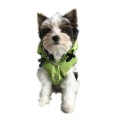 Rrcznie-szyta-kurtka-dla-psa-sportowa-zielona-www.swiatshihtzu (3).jpg