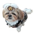 Recznie-szyta-kurtka-sportowa-moro-www.swiatshihtzu.pl-1.jpg