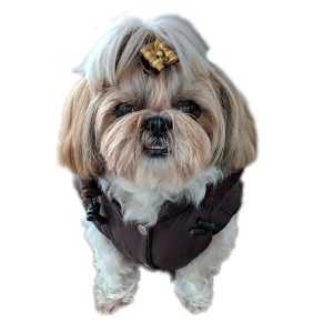 Ręcznie szyta kurtka sportowa brąz