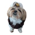 Recznie-szyta-kurtka-sportowa-braz-dla-psa-shihtzu-www.swiatshihtzu.pl-3.jpg