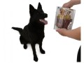 Magnum-Duck-Roll-on-Rawhide-Stick-250g-www.shopfordog.pl.4.jpg