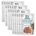 8595602565405-104-101050-Brit-Care-Cat-Fillets-In-Gravy-Sterilized-Rabbit-Krolik-w-Sosie-www.MERDAKI.pl-20PAK.jpg