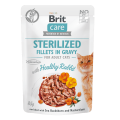8595602565405-104-101050-Brit-Care-Cat-Fillets-In-Gravy-Sterilized-Rabbit-Krolik-w-Sosie-www.MERDAKI.pl-1.png