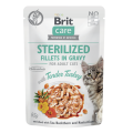 8595602565306_104-101045_Brit-Care-Cat-Fillets-In-Gravy-Sterilized-Indyk-w-Sosie-saszetka-85g-www.MERDAKI.pl-1.png
