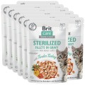 8595602565306_104-101045_Brit-Care-Cat-Fillets-In-Gravy-Sterilized-Indyk-w-Sosie-saszetka-85g-www.MERDAKI.pl-12PAK.jpg