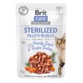 8595602540549-104-100532-Brit-Care-Cat-Fillets-In-Jelly-Sterilized-www.MERDAKI.pl-1.jpg