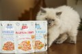 8595602540549-104-100532-Brit-Care-Cat-Fillets-In-Jelly-Sterilized-www.MERDAKI.pl-baner4.jpg