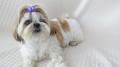 IMG_20170909_133045.jpg