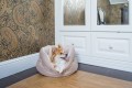Ami-Play-Legowisko-Colosseum-Aspen-M-Czarne-www.swiatshihtzu.pl.3.jpg