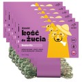 4260473653394-300-200227-Azanki-Kosc-do-zucia-seniorita-www.MERDAKI.pl-6PAK.jpg