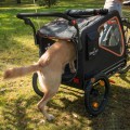 4262379091638-LA384898-Nomad-Tales-Spirit-Przyczepka-Rowerowa-jogger-www.MERDAKI.pl-3.jpg