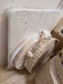 920 Natural Home IV~1 (10).jpg