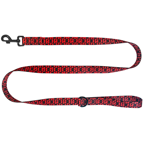 Chaba-Smycz-tasma-Fashion-16mm-130cm-czerwona-www.swiatshihtzu.pl.1.png