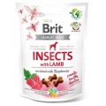 Brit-Care-Dog-Crunchy-Cracker-Owady-i-Jagniecina-Insect-&amp;-Lamb-200G-www.swiatshihtzu.pl.1.jpg