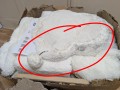 PXL_20251127_205231779~2.jpg