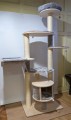4054651015391 Petunia Jasnoszary (27).jpg