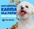 Paka-zwierzaka-seventh-heaven-krolik-i-owoce-lesne-www.shopfordog.pl-5.jpg