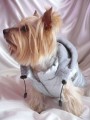 Ręcznie robiona kurtka sportowa www.swiatshihtzu.pl 12.JPG