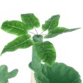 480197_TIAKI-Nature-Drapak-Green-Desert-www.shopfordog.pl-8.jpg