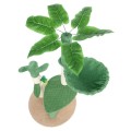 480197_TIAKI-Nature-Drapak-Green-Desert-www.shopfordog.pl-5.jpg