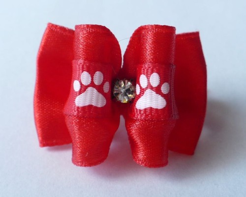 KEC009 światshihtzu.pl.JPG