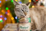 Carnilove_CL_WET FOOD_CAT_85g_pouche_Pheasant-www.shopfordog.pl-5.jpg