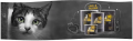 Catz_Finefood-Purrrre_www.MERDAKI.pl_baner1.png