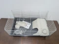1867 RABBIT 100 (3).jpg
