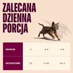 8595602584741_104101410_CARNILOVE_Cat_POUCH_JELLY_rich_in_Rabbit_85G_www.MERDAKI.pl_4.jpg