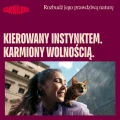8595602582860_104101389_CARNILOVE_Cat_CAN_Pate_Chicken_Lamb_100G_www.MERDAKI.pl_5.jpg